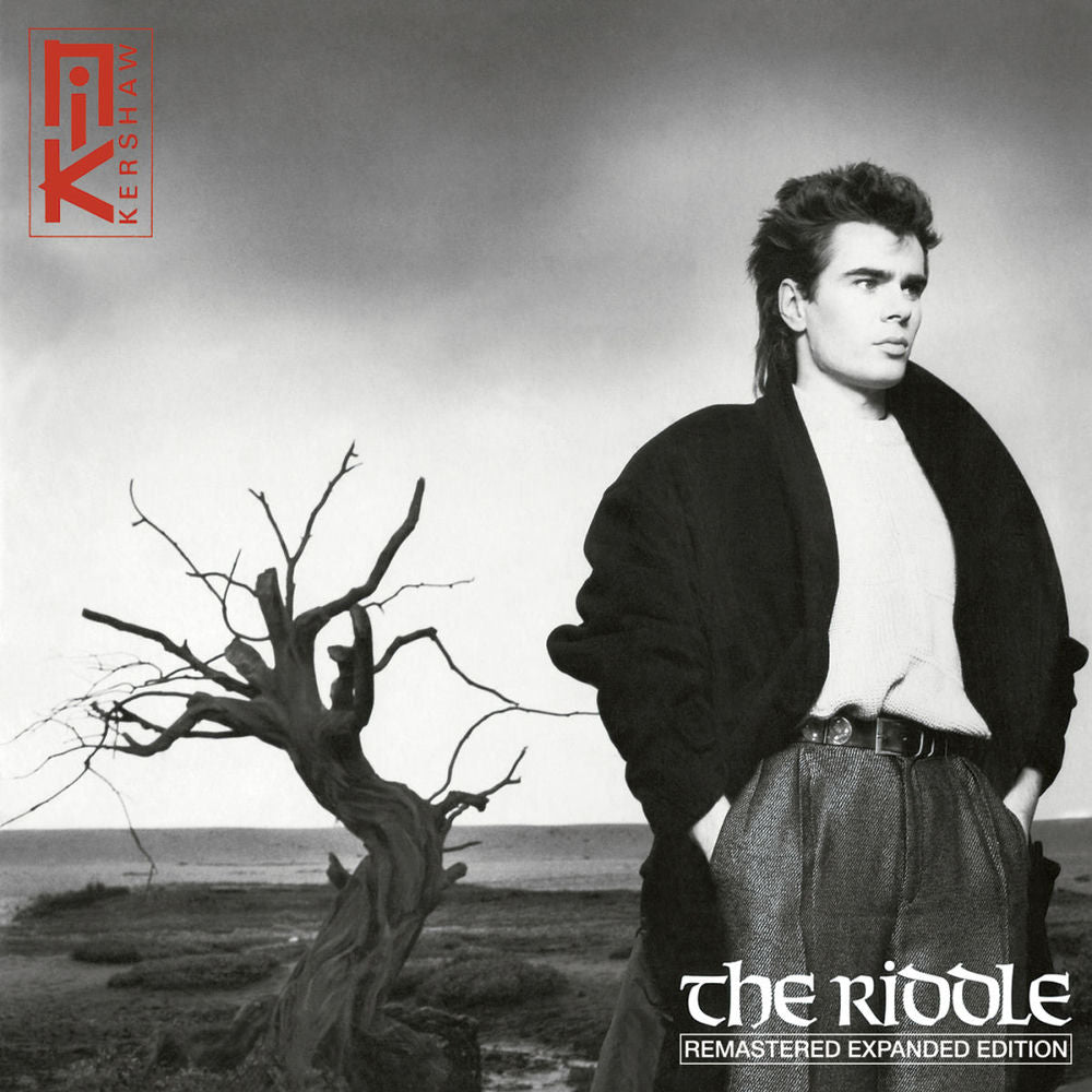 The riddle - Front Cover