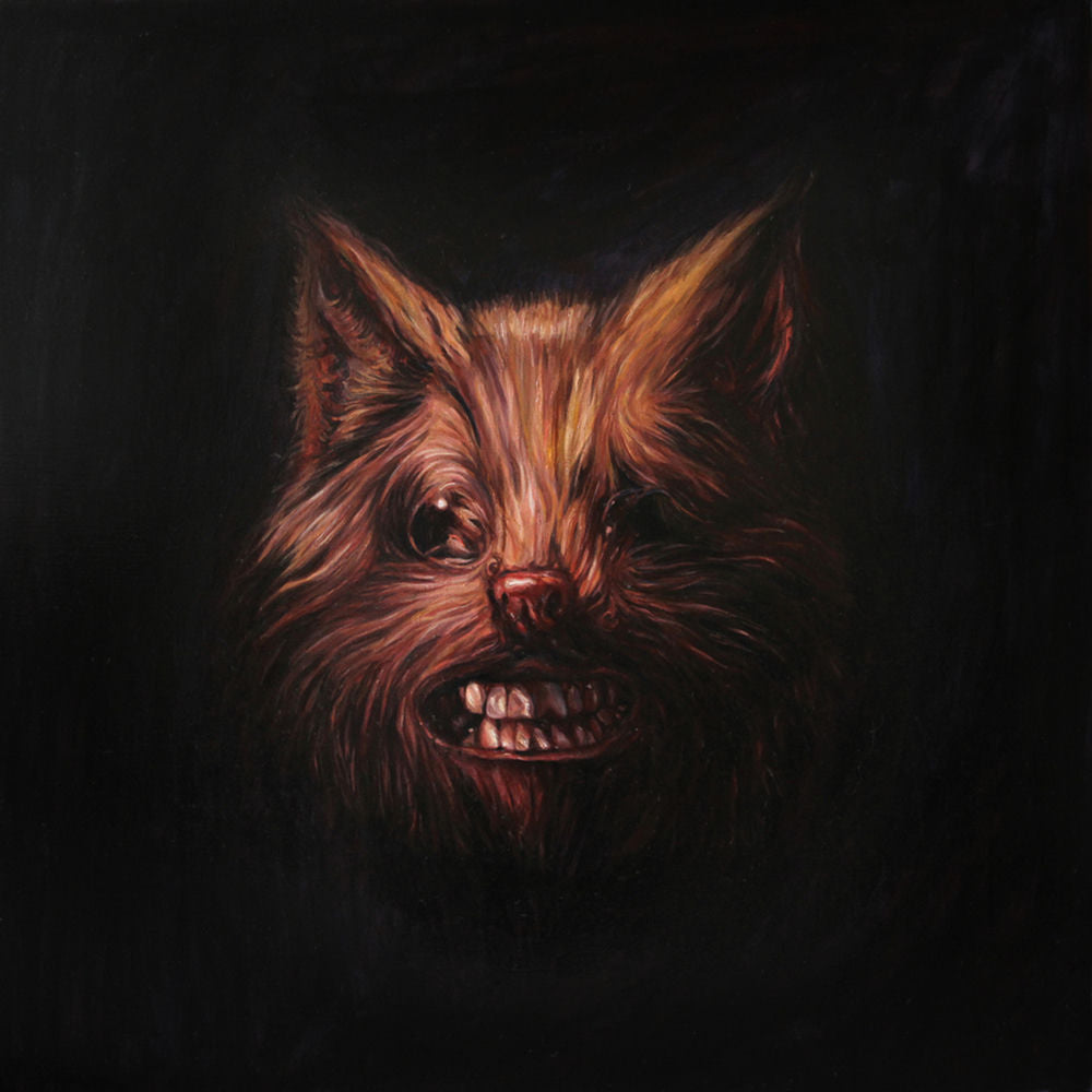 Seer - Front Cover