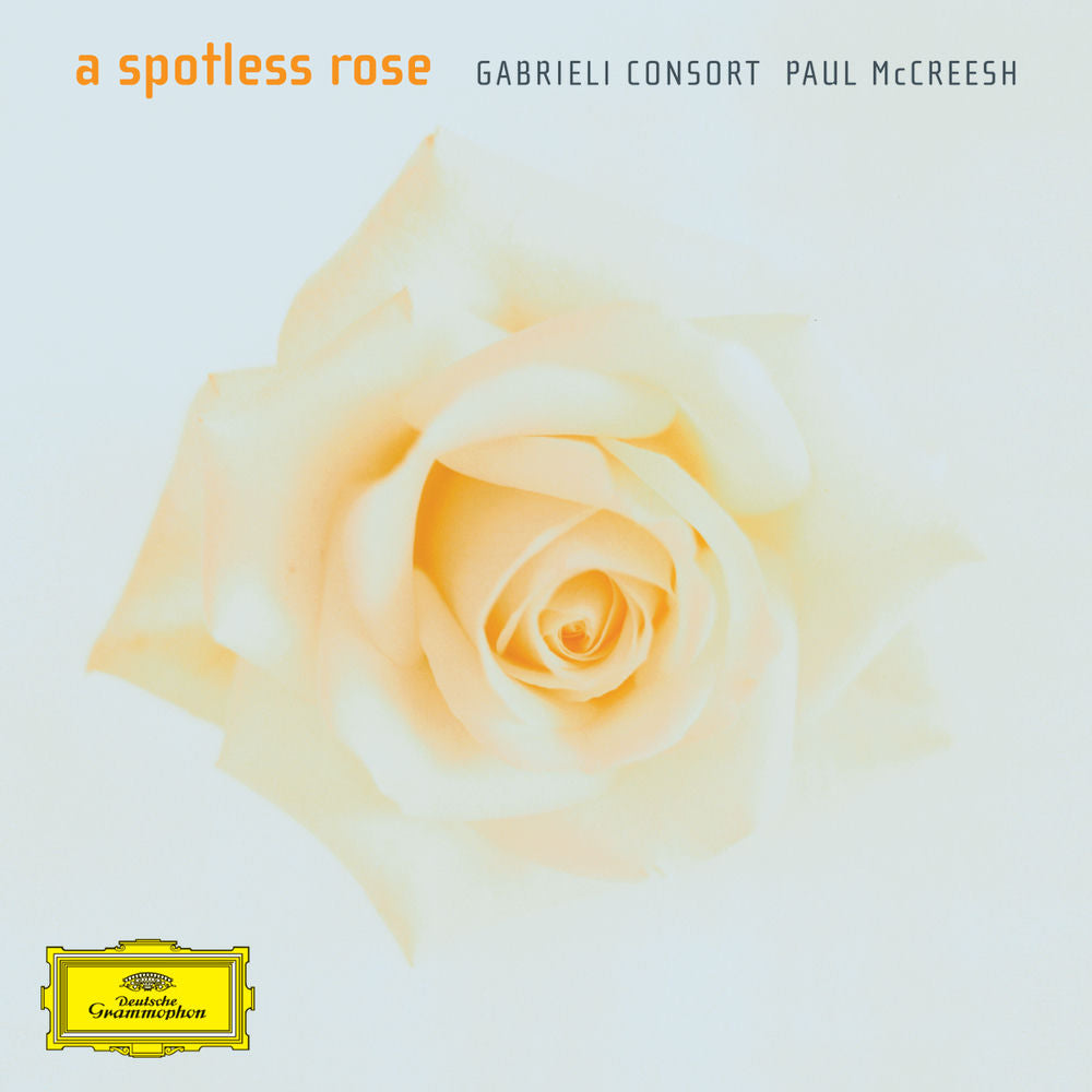 A spotless rose - Front Cover
