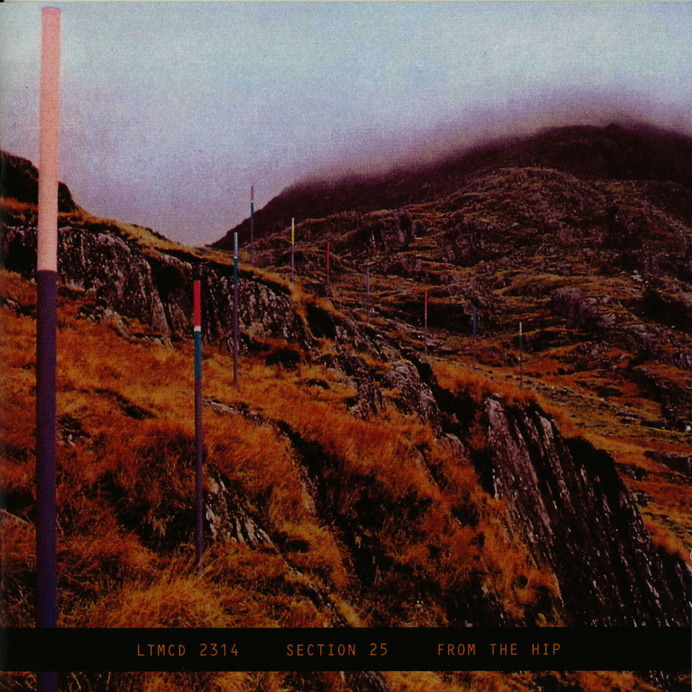 From the hip - Front Cover