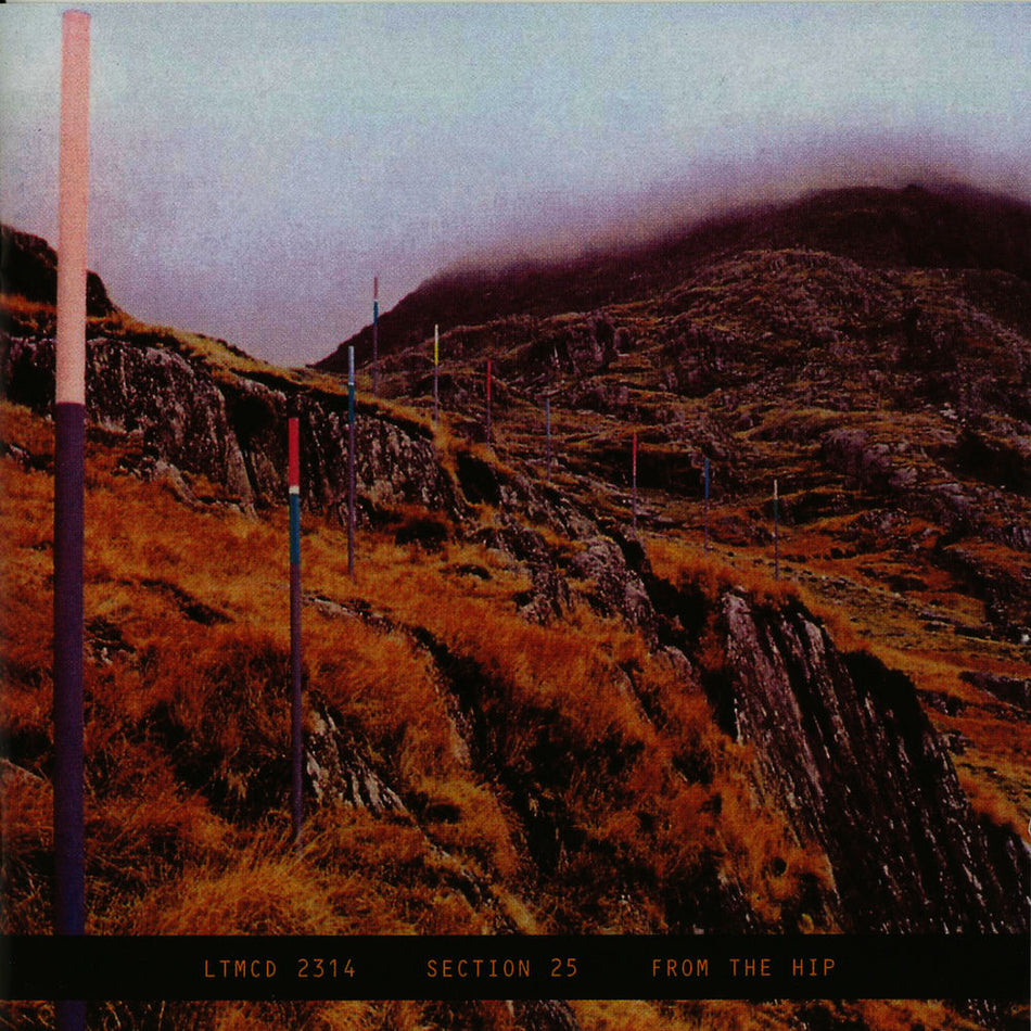 From the hip - Front Cover