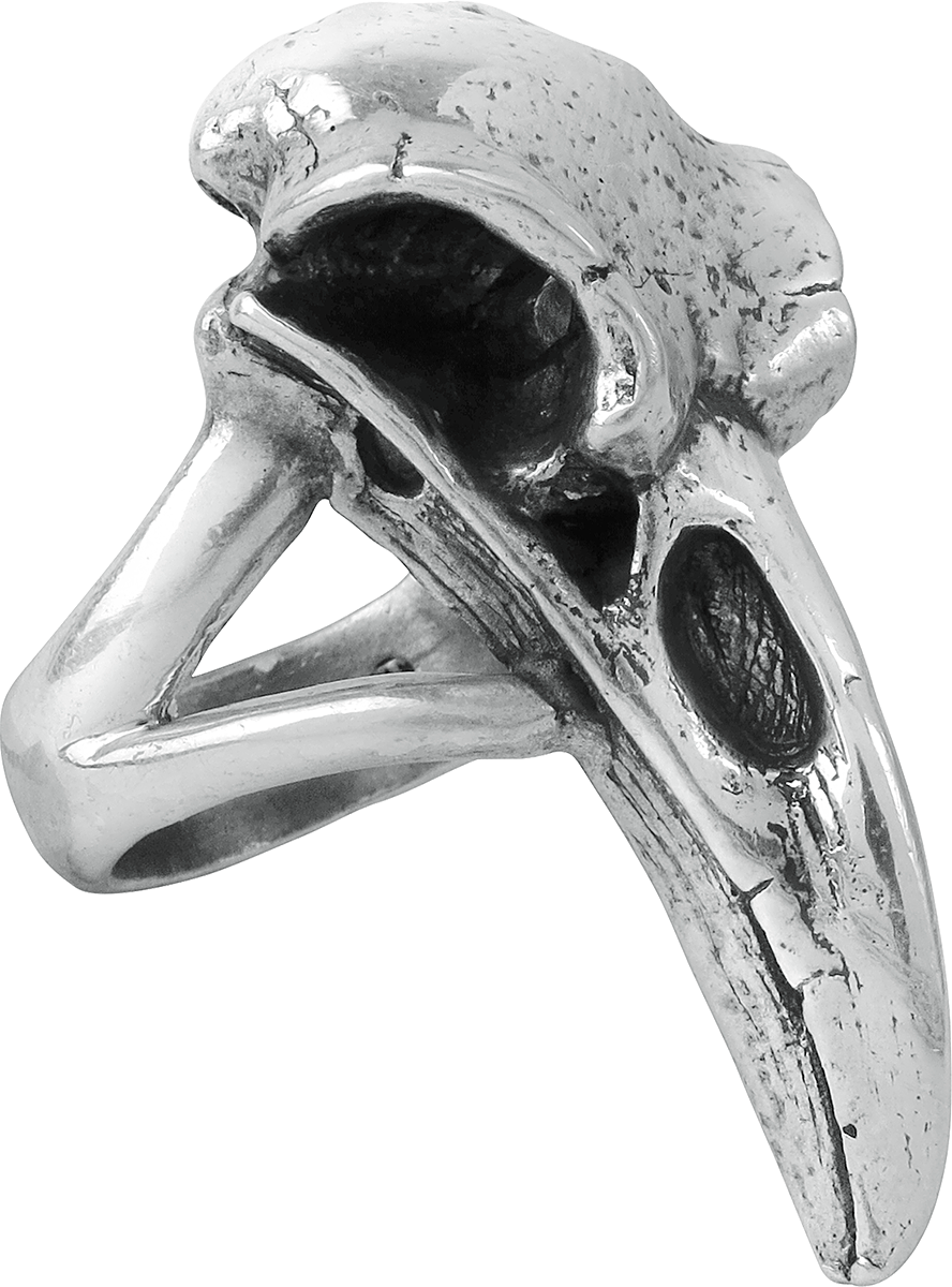 Bague Gothic de Alchemy Gothic - Crâne De Corbeau - pour Femme - couleur argent - Alchemy Gothic - View 2