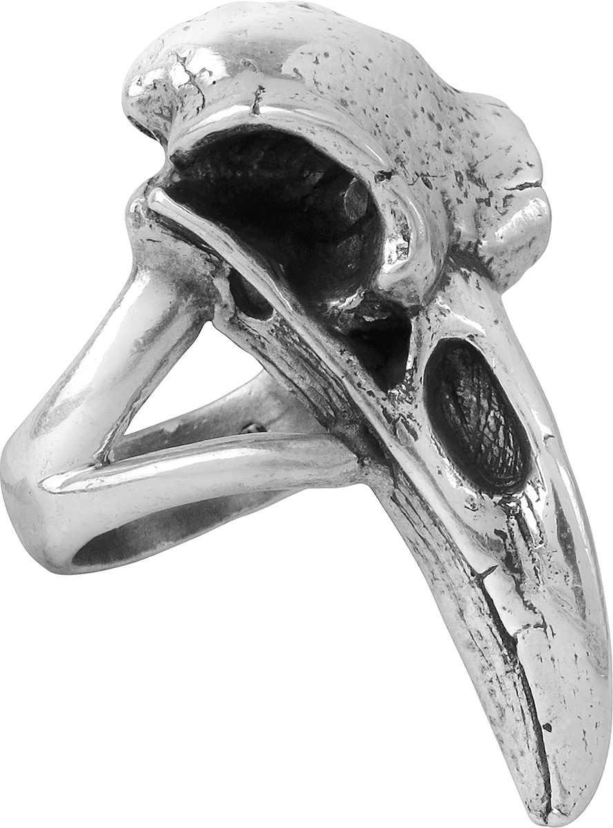 Bague Gothic de Alchemy Gothic - Crâne De Corbeau - pour Femme - couleur argent - Alchemy Gothic - View 2