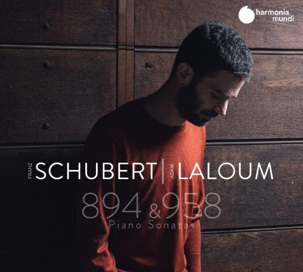 Schubert Sonatas D. 894 et D. 958 - Front Cover