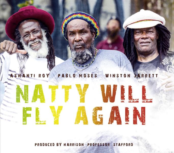 Natty Will Fly Again - Front Cover