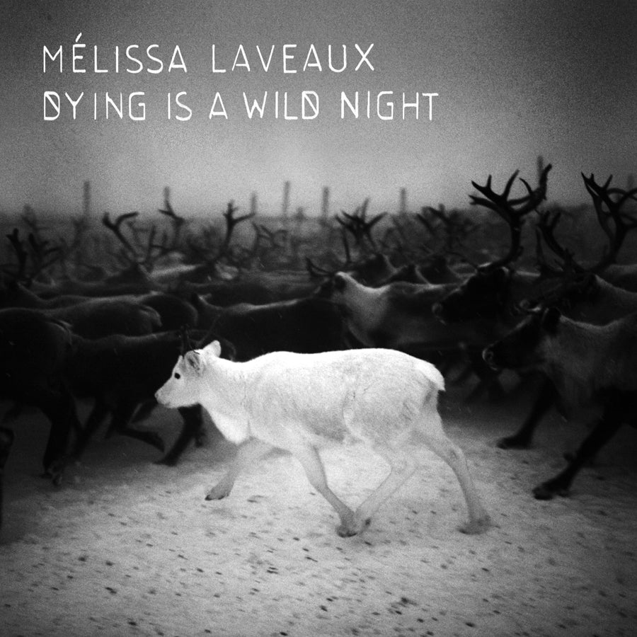 Dying is a Wild Night - Front Cover