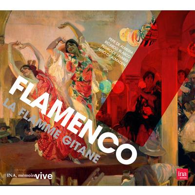 Flamenco l'âme andalouse - Front Cover