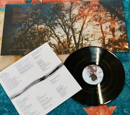 Feux - édition gatefold 180g - Front Cover