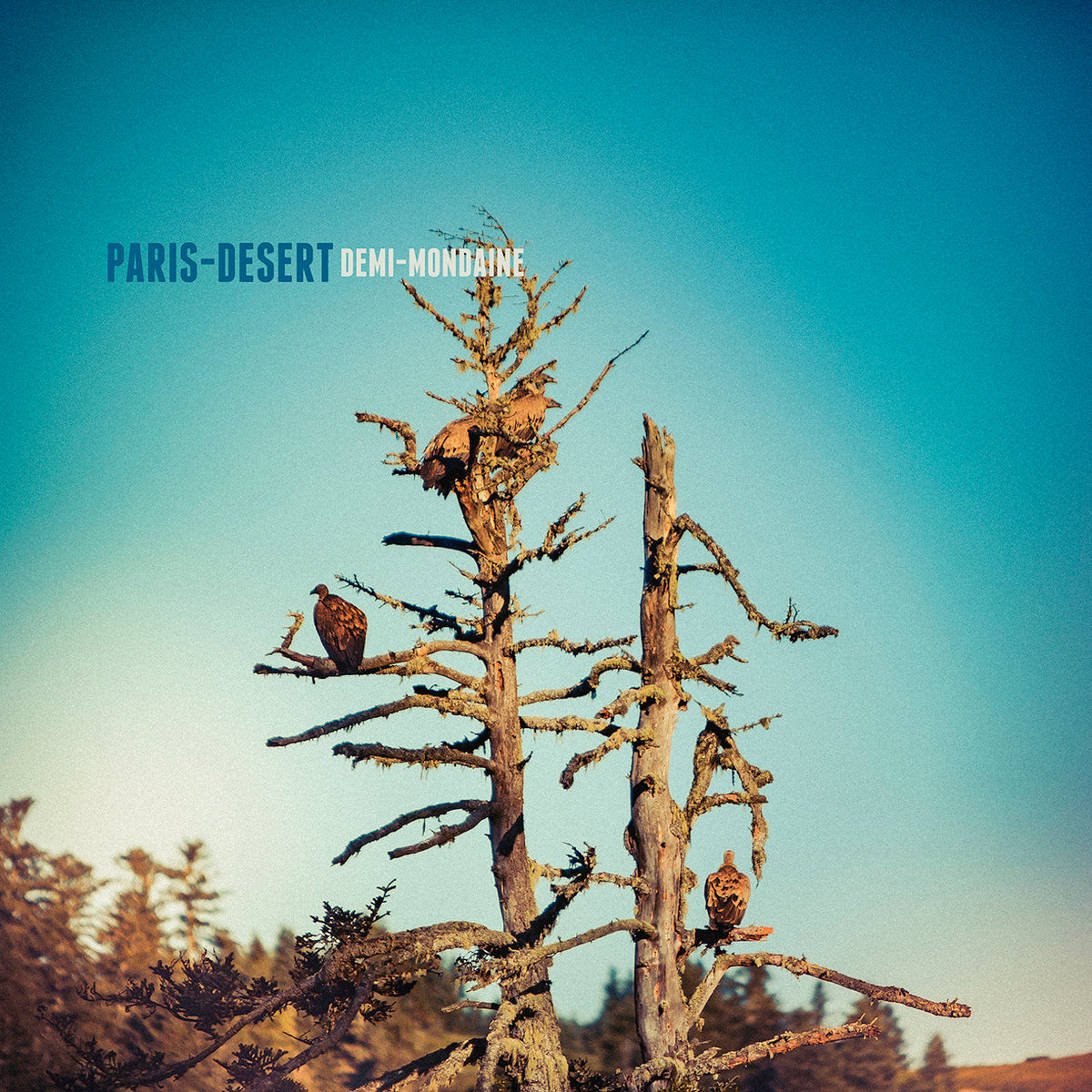 PARIS DESERT - Front Cover