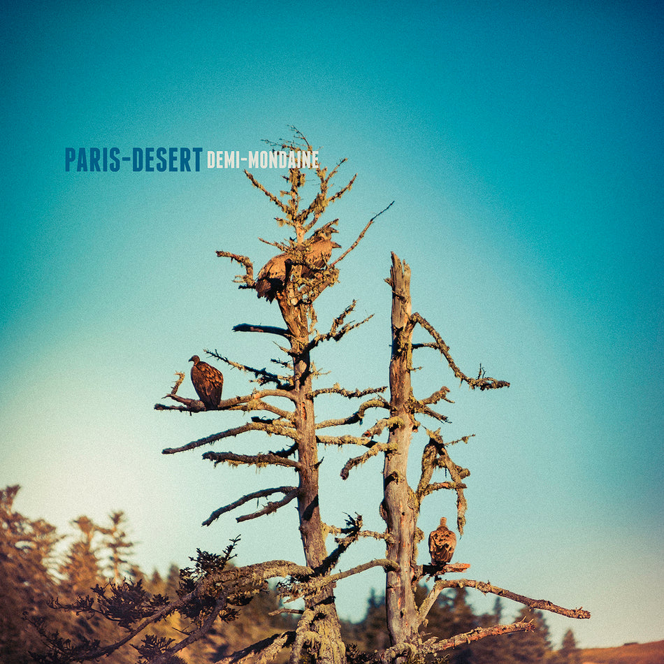 PARIS DESERT - Front Cover