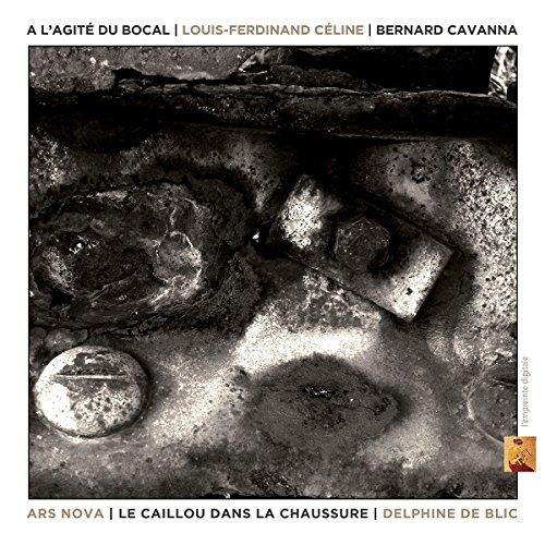 A l’agité du Bocal Le Caillou dans la chaussure Digipack Inclus DVD - Front Cover
