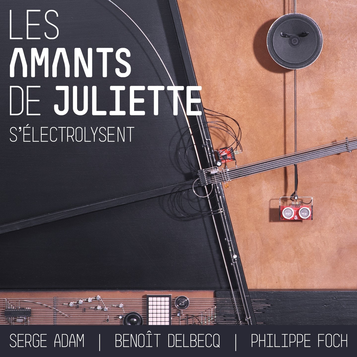 Les Amants de Juliette d'Electrolysent - Front Cover