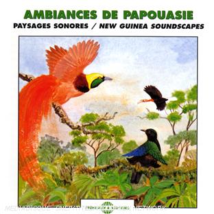 Ambiances de Papouasie - Front Cover