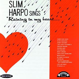 Raining In My Heart - Front Cover