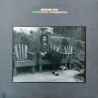 Inspiration Information (180 Gram) - Front Cover