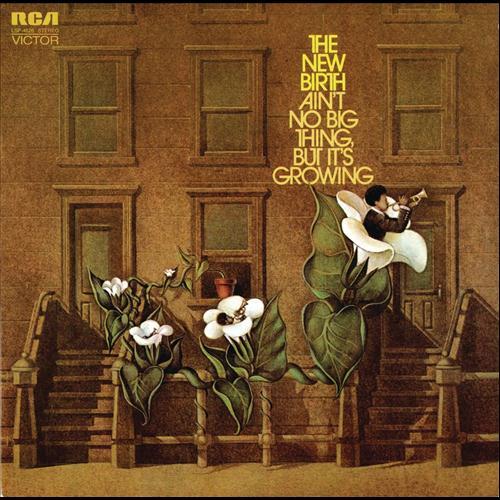 Ain't No Big Thing - Front Cover