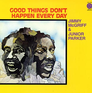 Good Things Don't Happen Everyday - Front Cover