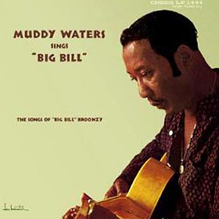 Muddy Waters Sings Big Bill Broonzy - Front Cover