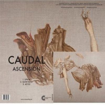 Ascension - Front Cover
