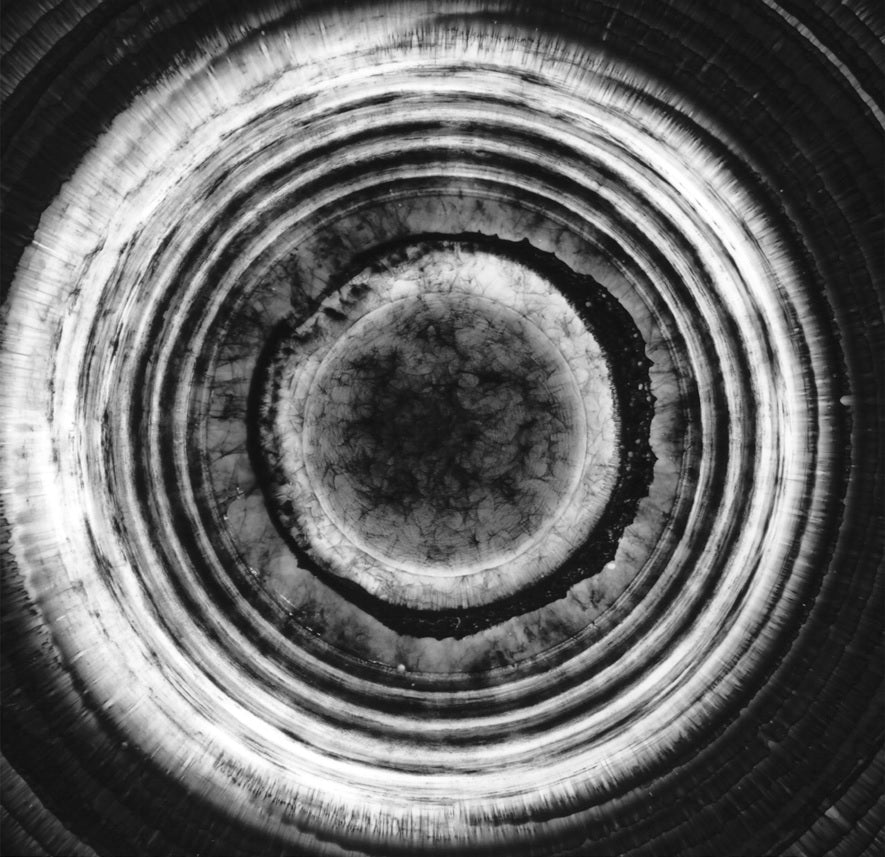 ISLAND ON THE MOON - Front Cover