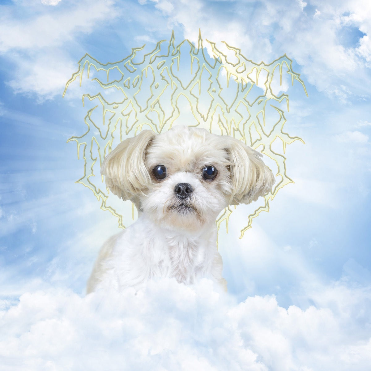 HONESTY INTEGRITY FRIENDSHIP PASSION - Front Cover