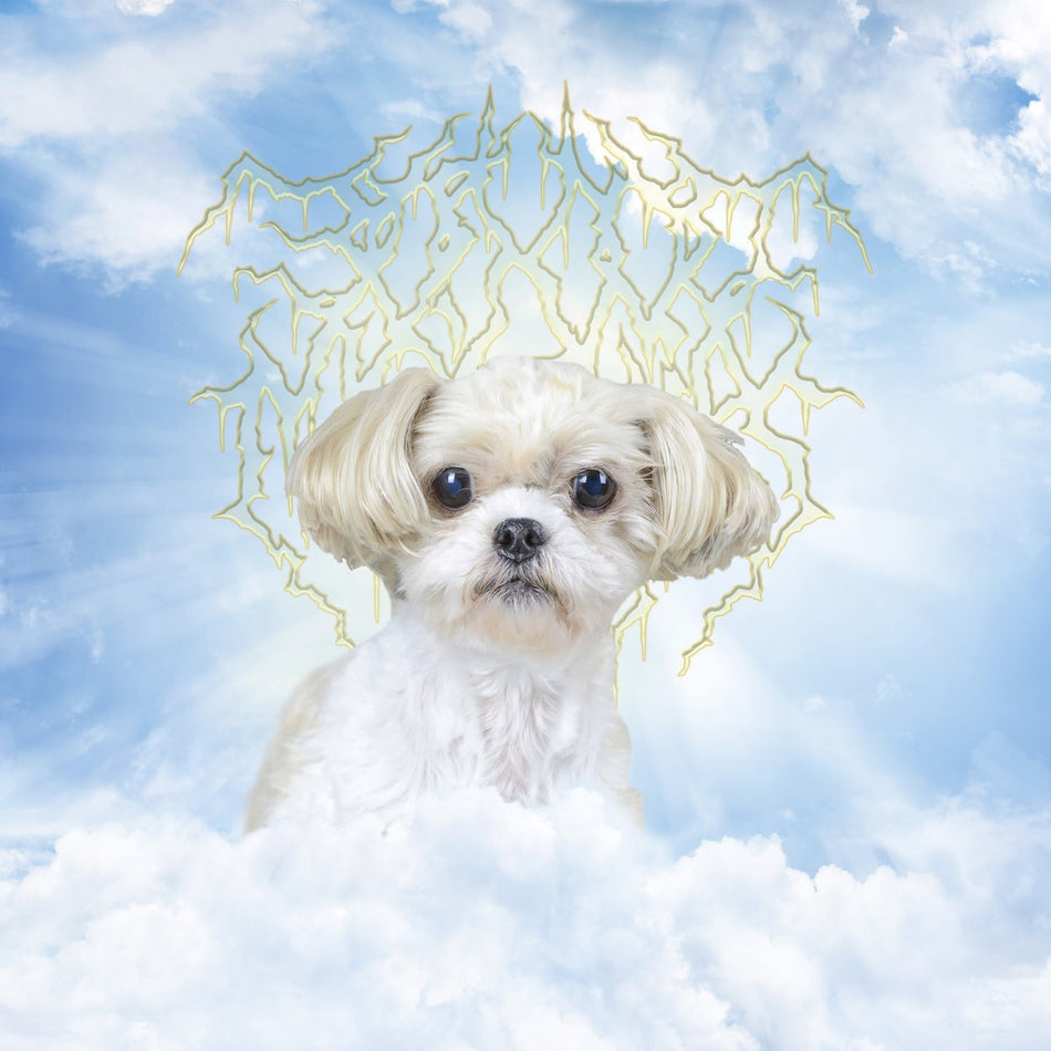 HONESTY INTEGRITY FRIENDSHIP PASSION - Front Cover