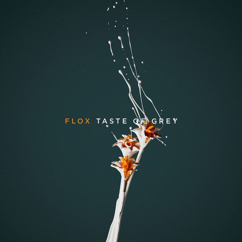 TASTE OF GREY/VINYLE COULEUR - Front Cover