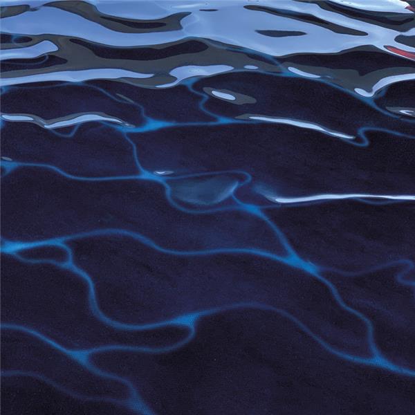 Casini - Front Cover
