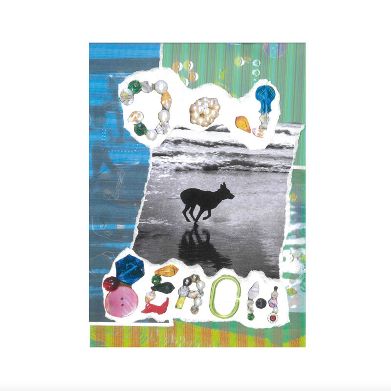 Dog Beach - Front Cover