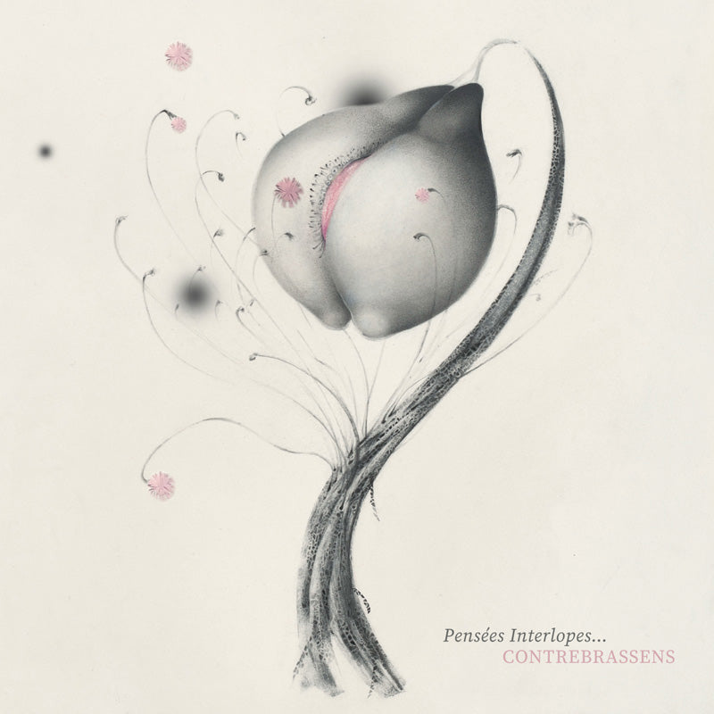 PENSEES INTERLOPES - Front Cover