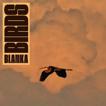 Birds - Front Cover