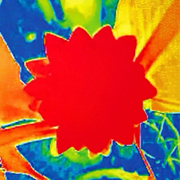 Drop - Front Cover