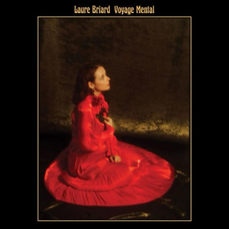 Voyage Mental - Front Cover
