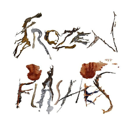 Frozen Flashes - Front Cover