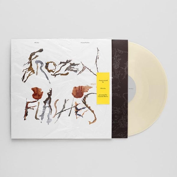 Frozen Flashes - Front Cover