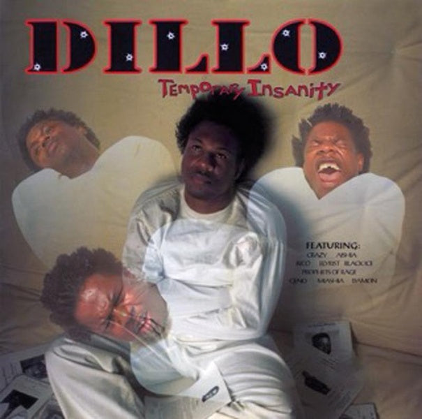 Temporary Insanity - Vinyle - Front Cover