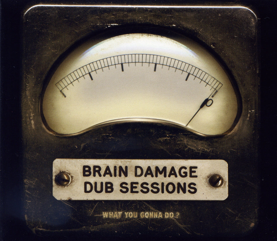WHAT YOU GONNA DO ? (vinyl) - Front Cover