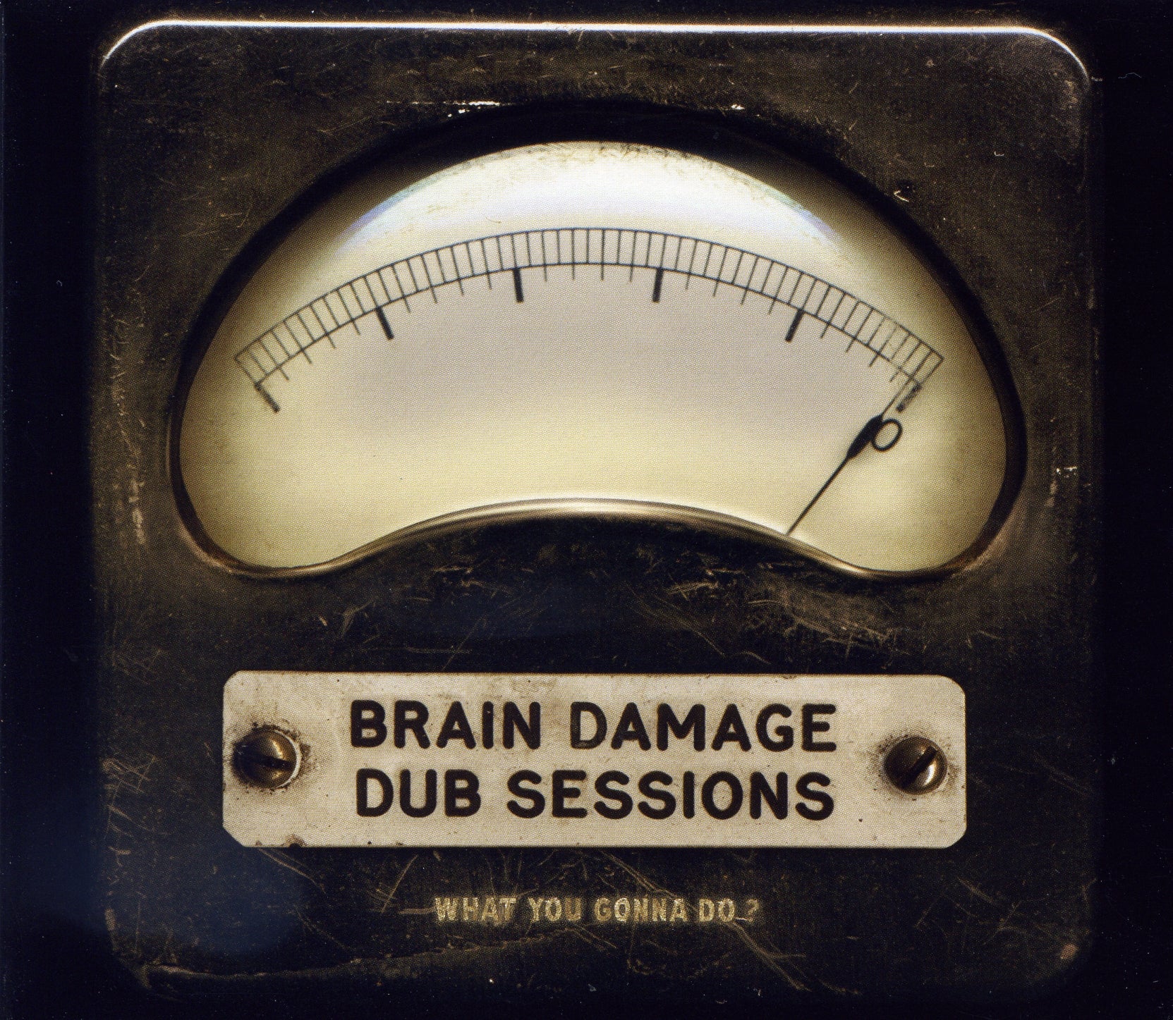 WHAT YOU GONNA DO ? (vinyl) - Front Cover