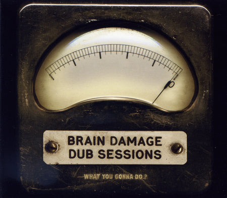 WHAT YOU GONNA DO ? (vinyl) - Front Cover