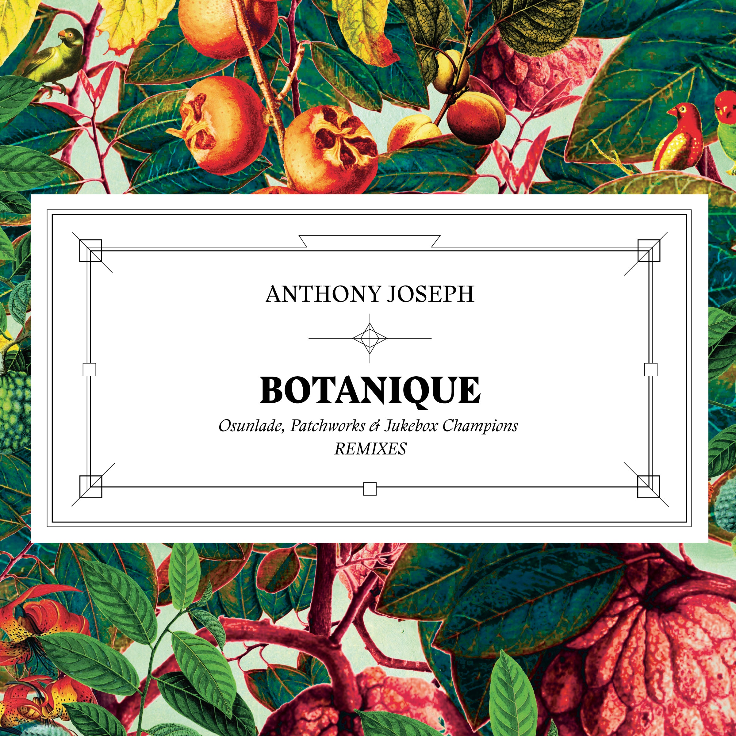 BOTANIQUE (maxi vinyl) - Front Cover