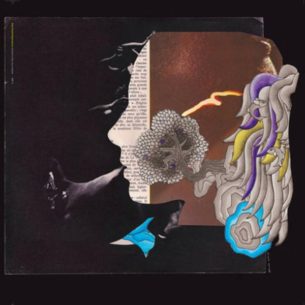DIRTY FRENCH PSYCHEDELICHS/SELECTED BY DIRTY SOUND SYSTEM - Front Cover