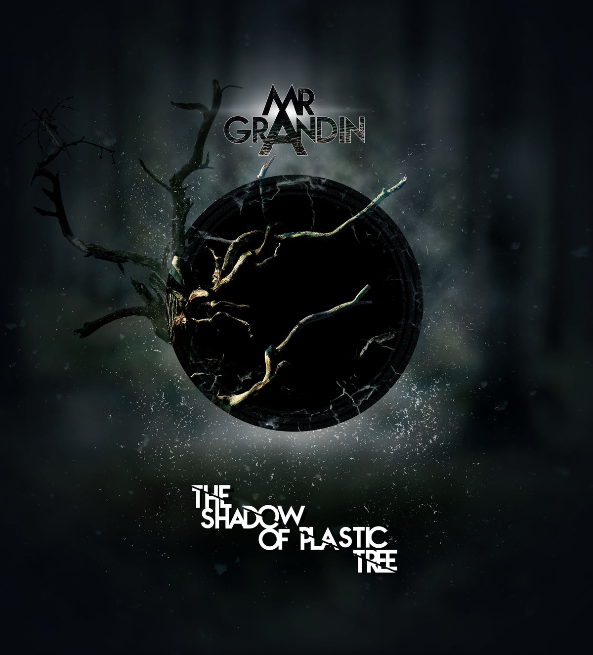 THE SHADOW OF PLASTIC TREE (vinyl) - Front Cover