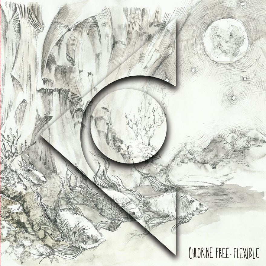 FLEXIBLE (vinyl) - Front Cover