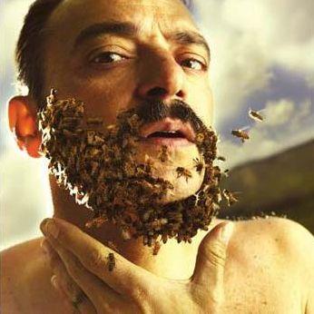 BIEN HOMME, MAL FEMME (vinyl) - Front Cover