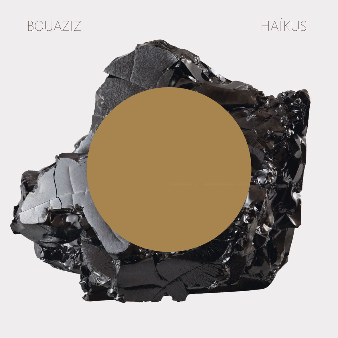 HAIKUS (vinyl) - Front Cover