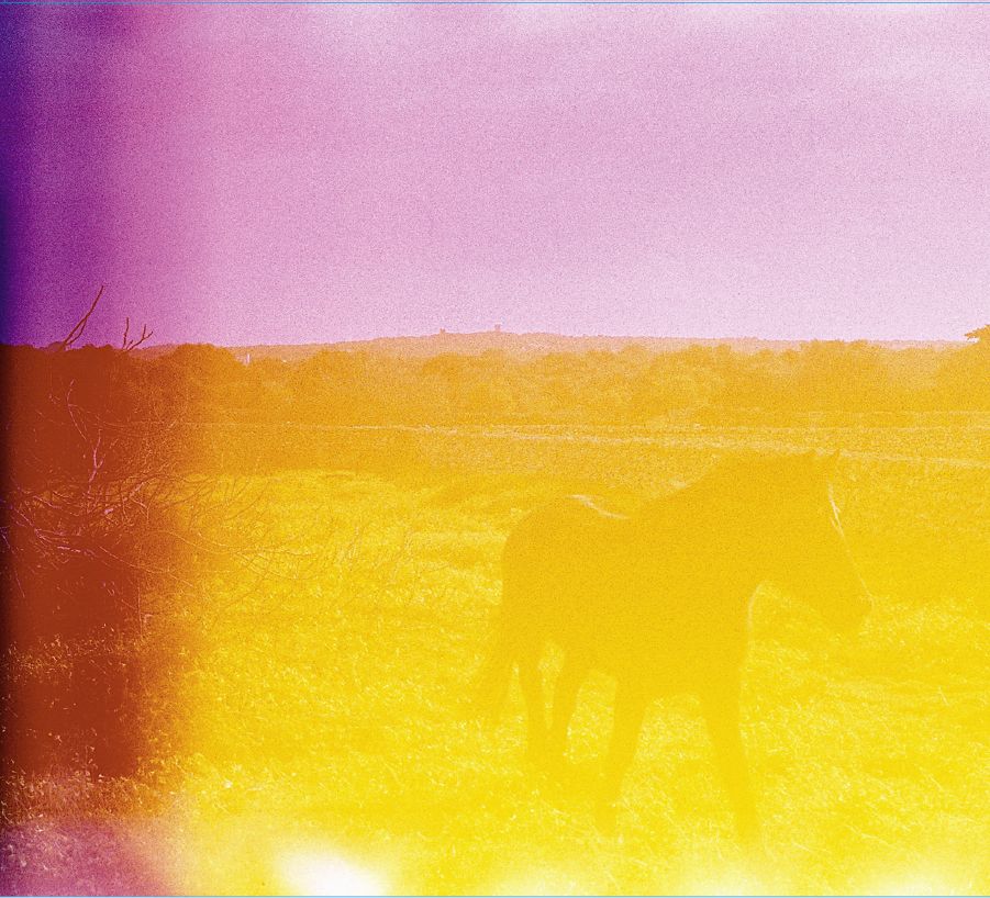 JO ESTAVA QUE M’ABRASAVA (vinyl) - Front Cover