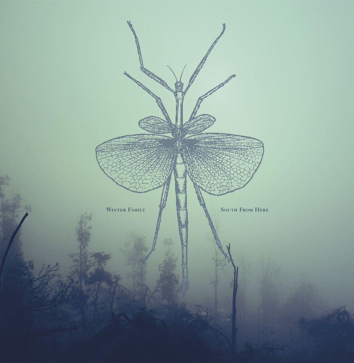 SOUTH FROM HERE (vinyl) - Front Cover