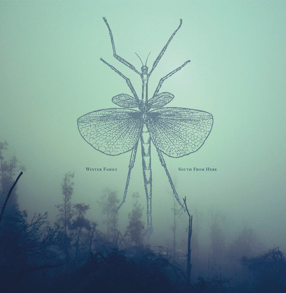 SOUTH FROM HERE (vinyl) - Front Cover