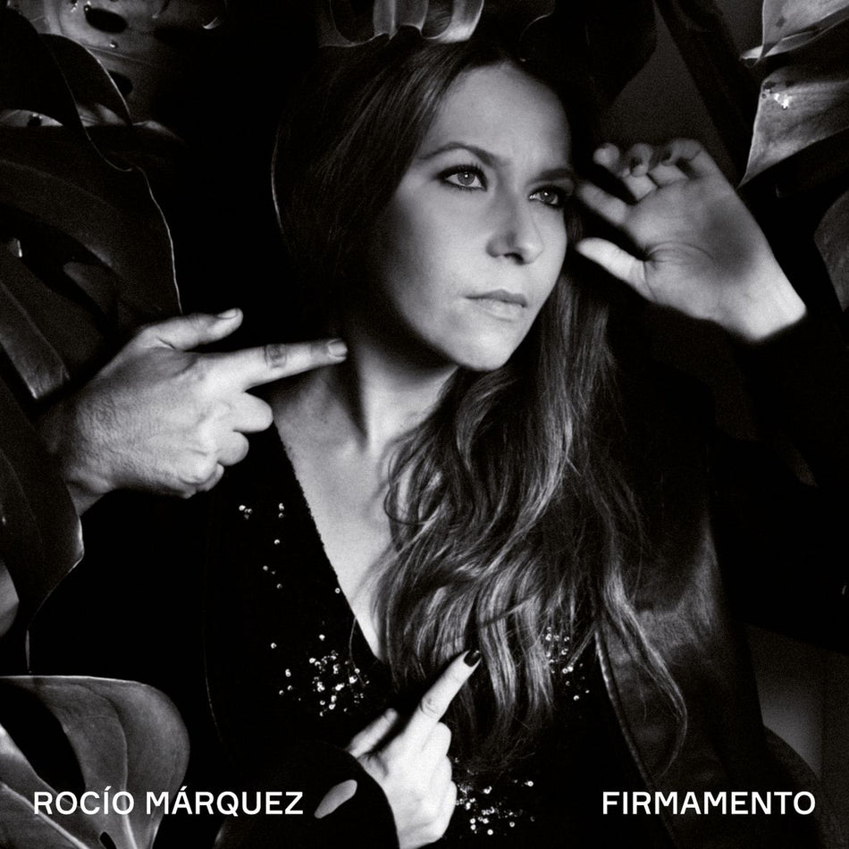 FIRMAMENTO (2 vinyls) - Front Cover