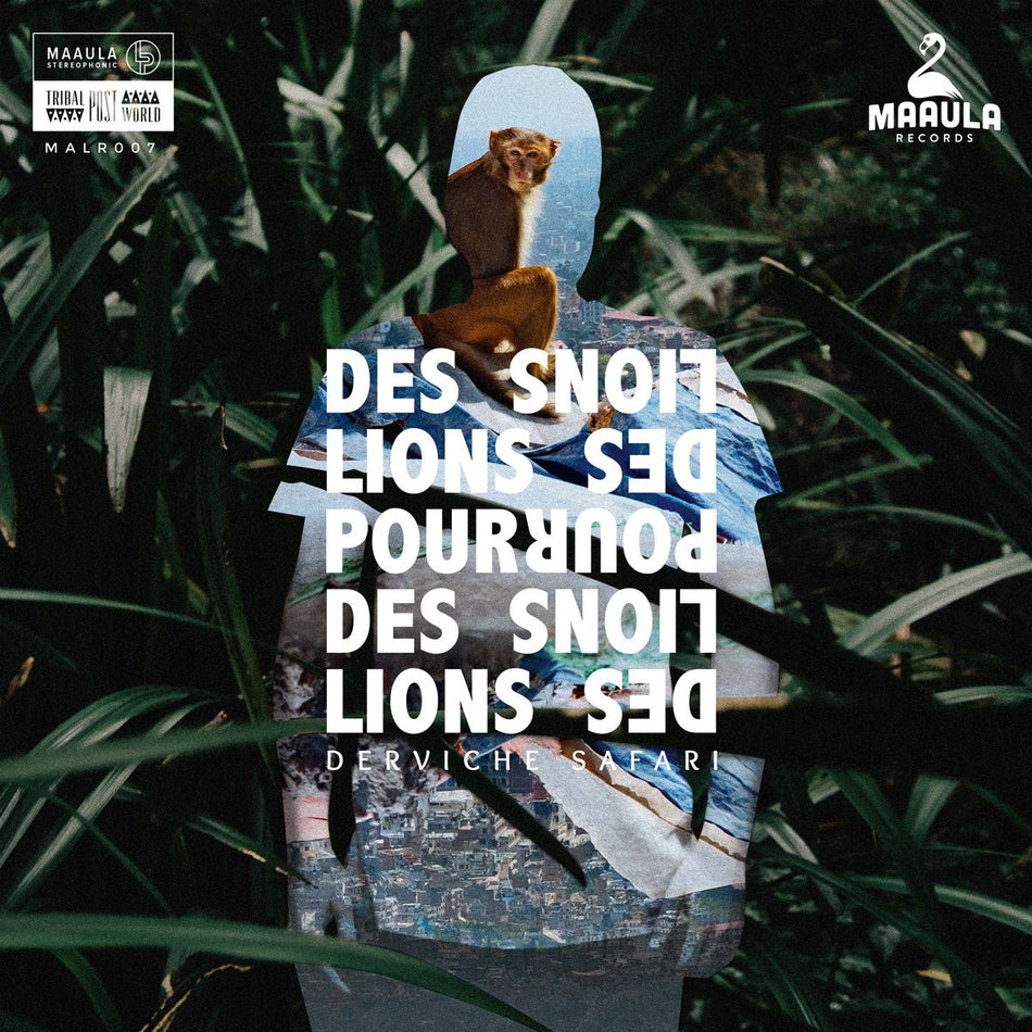DERVICHE SAFARI (vinyl) - Front Cover